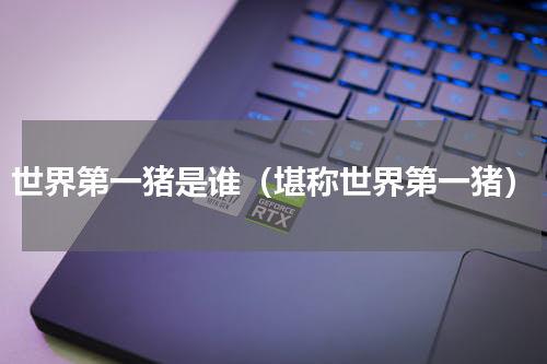 世界第一猪是谁（堪称世界第一猪）