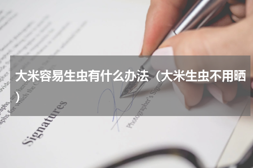 大米容易生虫有什么办法（大米生虫不用晒）