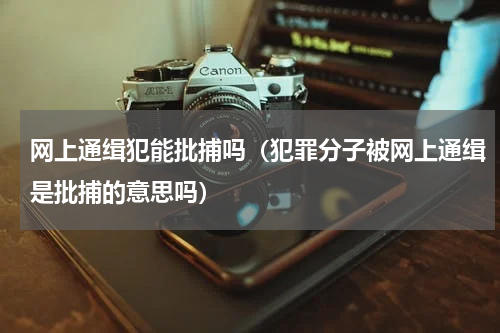 网上通缉犯能批捕吗（犯罪分子被网上通缉是批捕的意思吗）