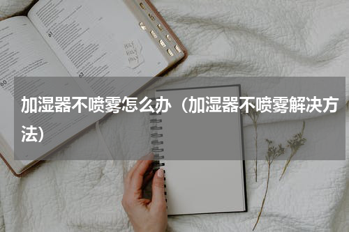 加湿器不喷雾怎么办（加湿器不喷雾解决方法）