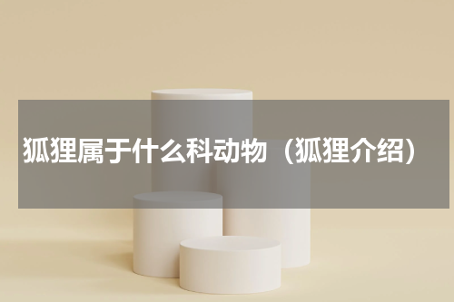 狐狸属于什么科动物（狐狸介绍）