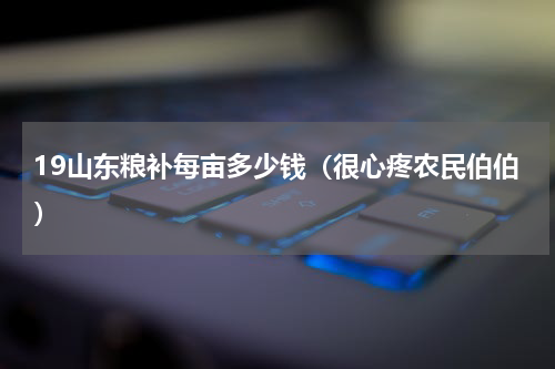 19山东粮补每亩多少钱（很心疼农民伯伯）