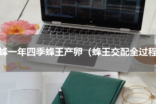 中蜂一年四季蜂王产卵（蜂王交配全过程）