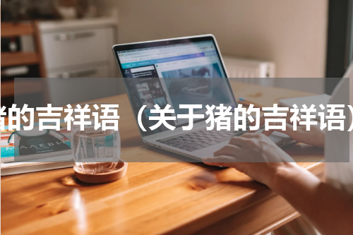 猪的吉祥语（关于猪的吉祥语）