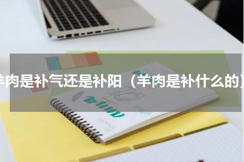 羊肉是补气还是补阳（羊肉是补什么的）