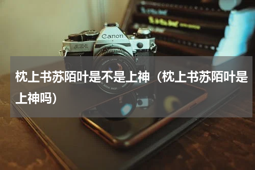 枕上书苏陌叶是不是上神（枕上书苏陌叶是上神吗）