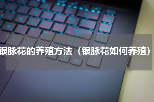 银脉花的养殖方法（银脉花如何养殖）