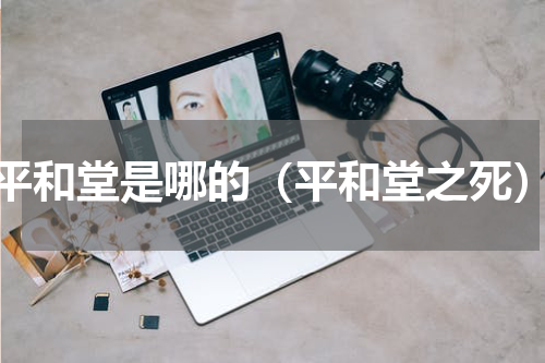 平和堂是哪的（平和堂之死）