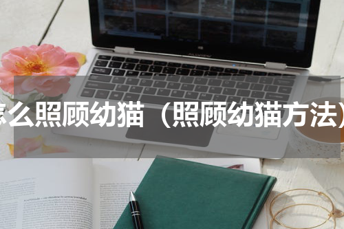 怎么照顾幼猫（照顾幼猫方法）