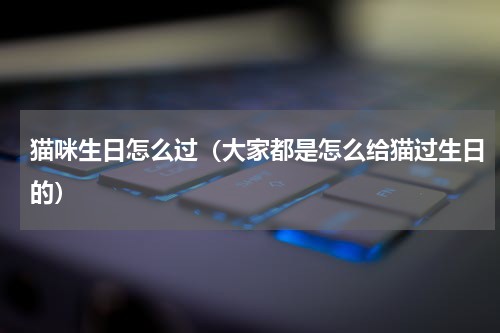 猫咪生日怎么过（大家都是怎么给猫过生日的）
