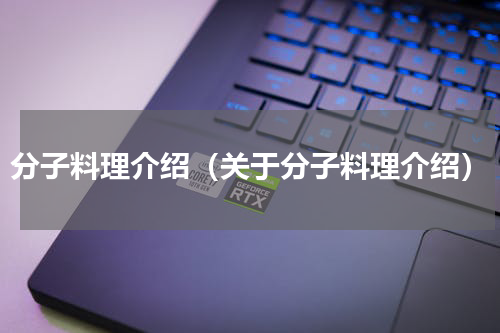 分子料理介绍（关于分子料理介绍）