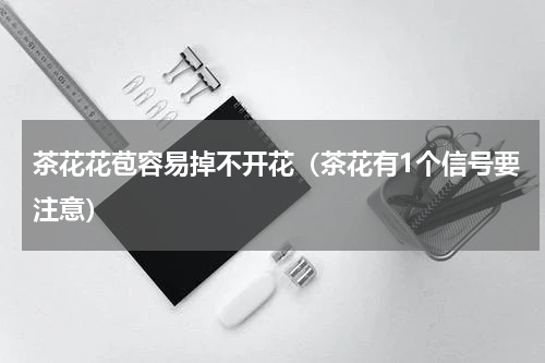 茶花花苞容易掉不开花（茶花有1个信号要注意）
