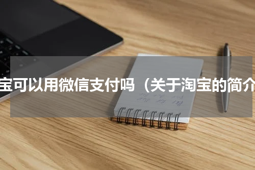 淘宝可以用微信支付吗（关于淘宝的简介）