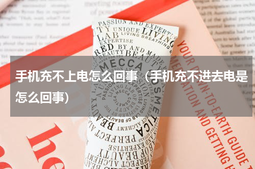 手机充不上电怎么回事（手机充不进去电是怎么回事）