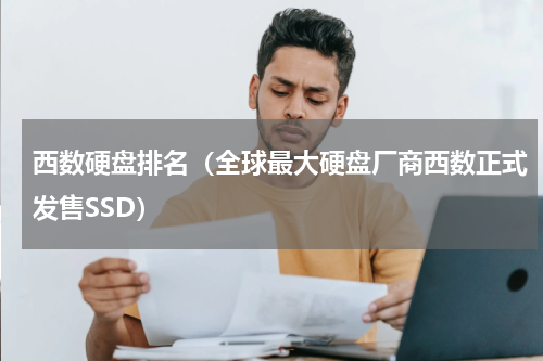 西数硬盘排名（全球最大硬盘厂商西数正式发售SSD）