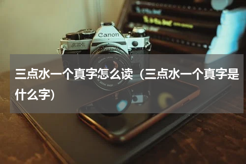 三点水一个真字怎么读（三点水一个真字是什么字）