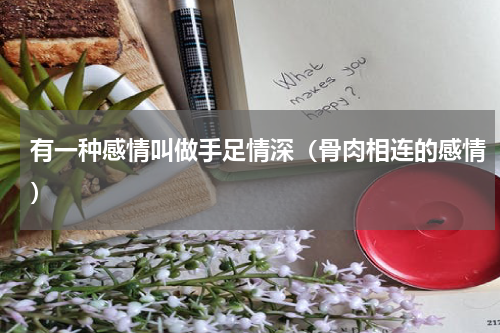 有一种感情叫做手足情深（骨肉相连的感情）