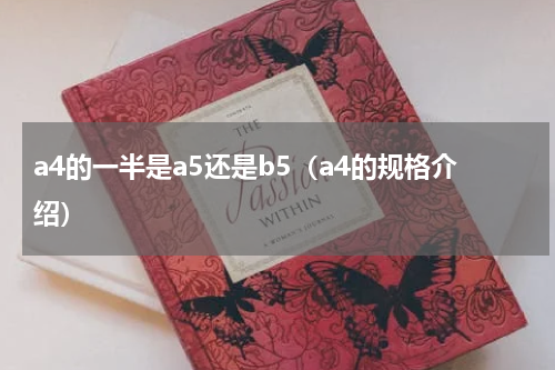 a4的一半是a5还是b5（a4的规格介绍）