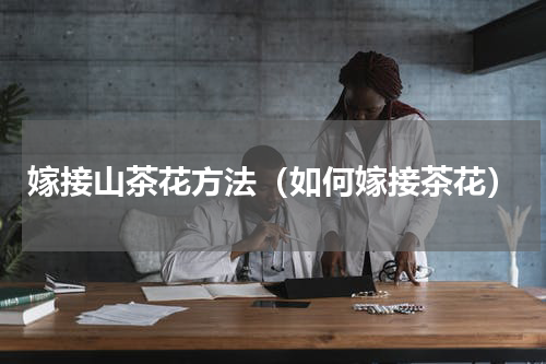 嫁接山茶花方法（如何嫁接茶花）