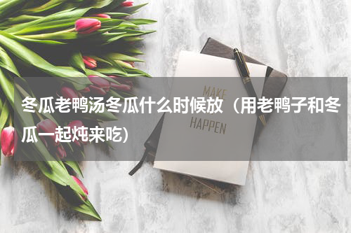 冬瓜老鸭汤冬瓜什么时候放（用老鸭子和冬瓜一起炖来吃）