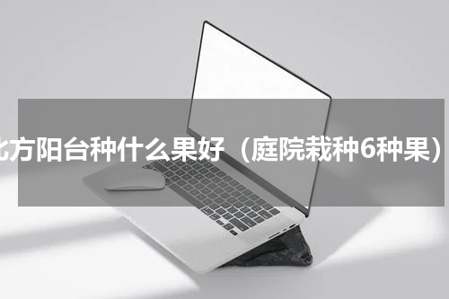 北方阳台种什么果好（庭院栽种6种果）
