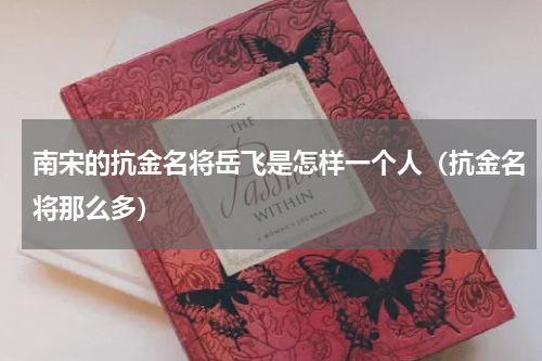 南宋的抗金名将岳飞是怎样一个人（抗金名将那么多）