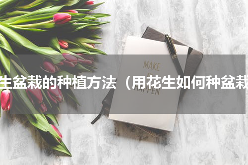 花生盆栽的种植方法（用花生如何种盆栽）