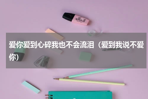 爱你爱到心碎我也不会流泪（爱到我说不爱你）