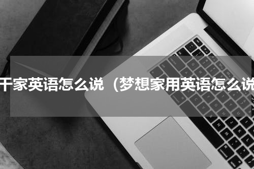 实干家英语怎么说（梦想家用英语怎么说）