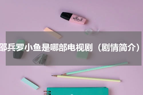 邵兵罗小鱼是哪部电视剧（剧情简介）