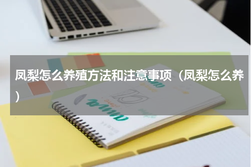 凤梨怎么养殖方法和注意事项（凤梨怎么养）