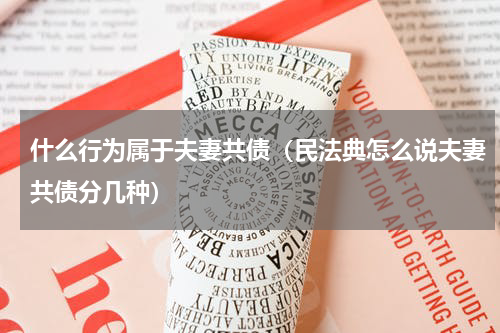 什么行为属于夫妻共债（民法典怎么说夫妻共债分几种）