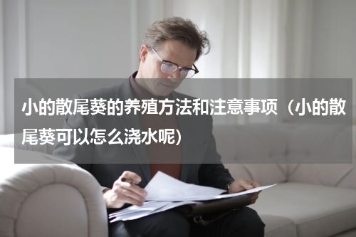 小的散尾葵的养殖方法和注意事项（小的散尾葵可以怎么浇水呢）