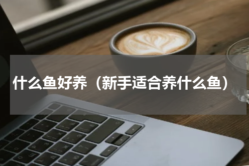 什么鱼好养（新手适合养什么鱼）