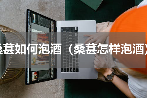 桑葚如何泡酒（桑葚怎样泡酒）