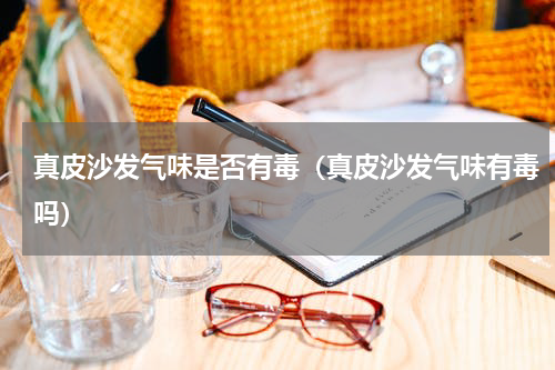 真皮沙发气味是否有毒（真皮沙发气味有毒吗）