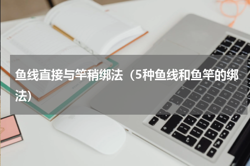 鱼线直接与竿稍绑法（5种鱼线和鱼竿的绑法）