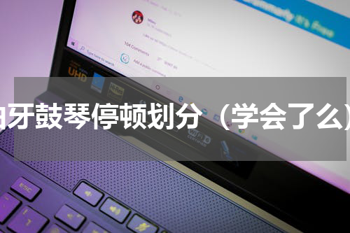 伯牙鼓琴停顿划分（学会了么）