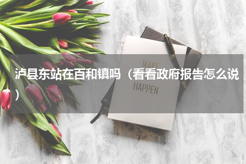 泸县东站在百和镇吗（看看政府报告怎么说）