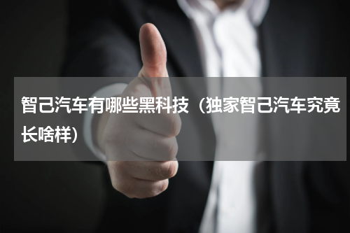 智己汽车有哪些黑科技（独家智己汽车究竟长啥样）