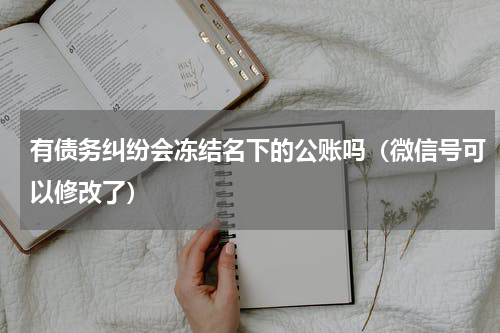 有债务纠纷会冻结名下的公账吗（微信号可以修改了）
