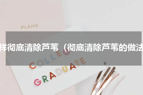 怎样彻底清除芦苇（彻底清除芦苇的做法）