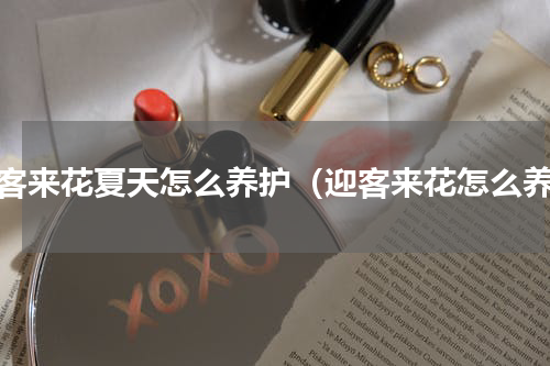 迎客来花夏天怎么养护（迎客来花怎么养）