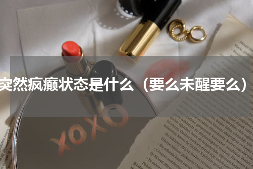 突然疯癫状态是什么（要么未醒要么）