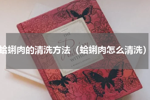 蛤蜊肉的清洗方法（蛤蜊肉怎么清洗）