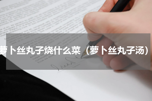萝卜丝丸子烧什么菜（萝卜丝丸子汤）