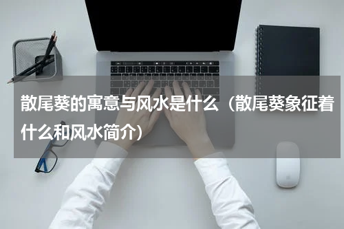 散尾葵的寓意与风水是什么（散尾葵象征着什么和风水简介）