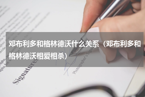 邓布利多和格林德沃什么关系（邓布利多和格林德沃相爱相杀）