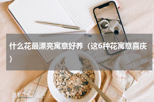 什么花最漂亮寓意好养（这6种花寓意喜庆）