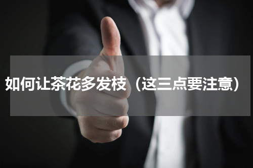如何让茶花多发枝（这三点要注意）